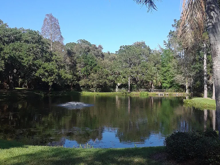 Park-like setting