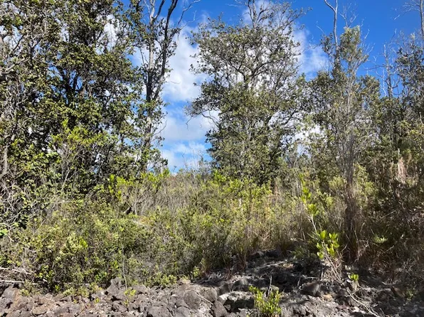 Palm Pkwy Lot 30, Ocean View, HI 96737