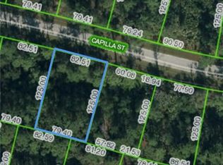 8529 Capilla St, Sebring, FL 33872