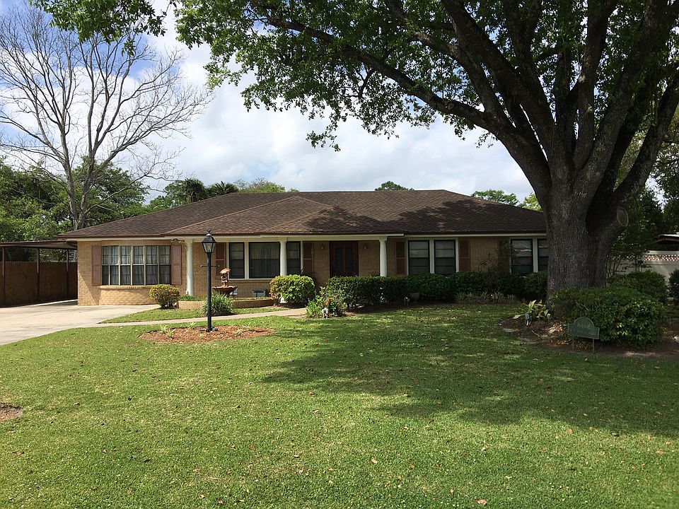 Large Oak in Front Yard