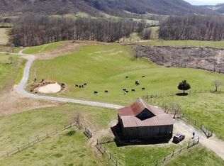 29063 Old Saltworks Rd, Meadowview, VA 24361