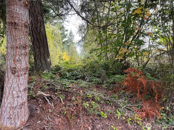 21 Camano Lane, Port Ludlow, WA 98365