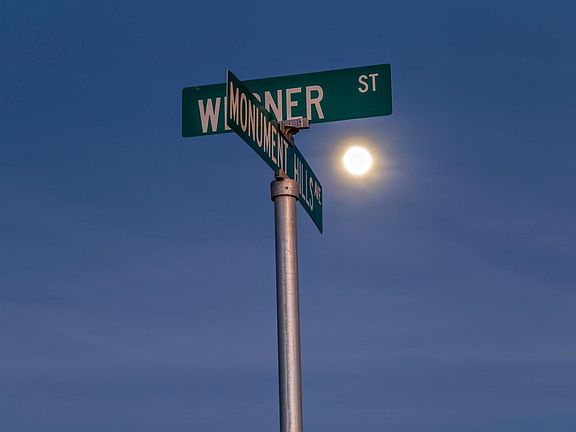 2538 Werner St Rosamond_324