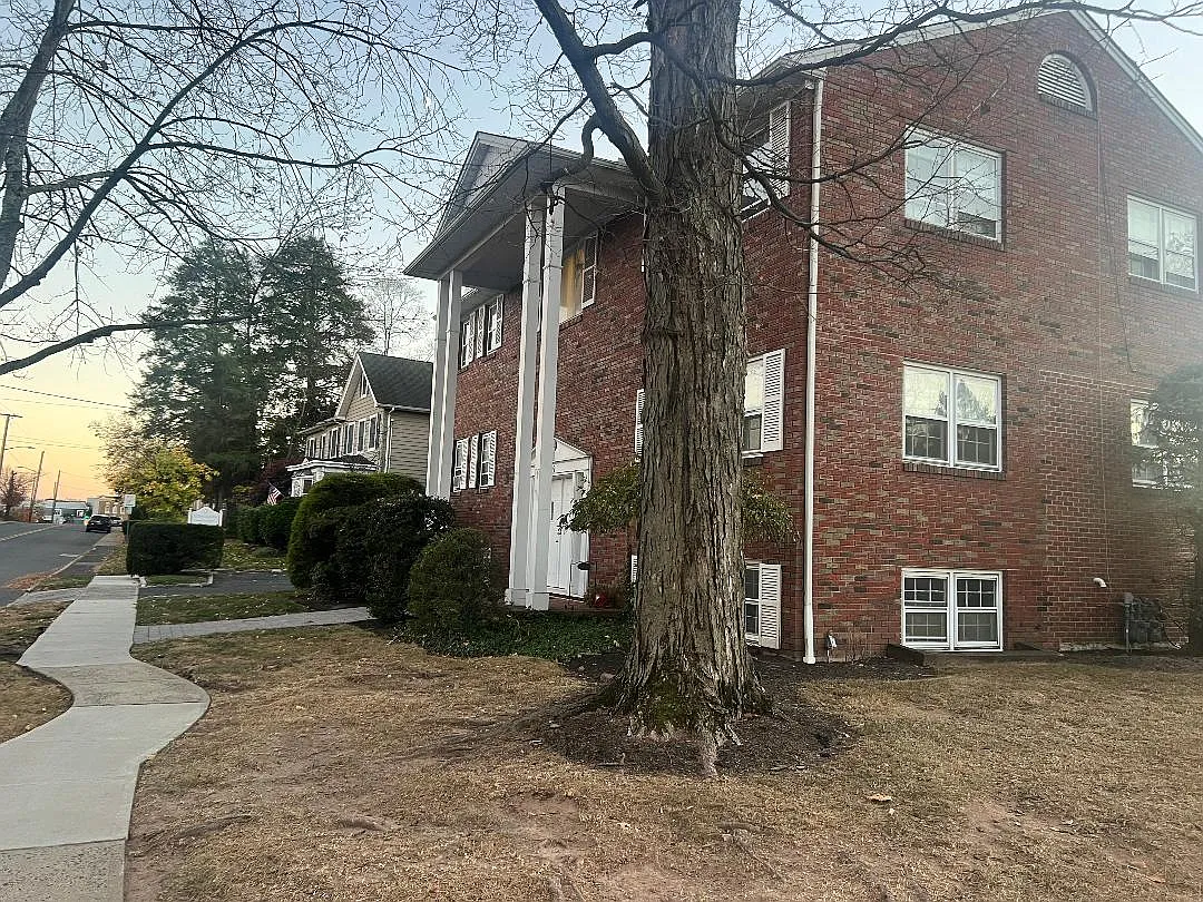 3 bed, 1234 sqft, $3,800 — Photo 3