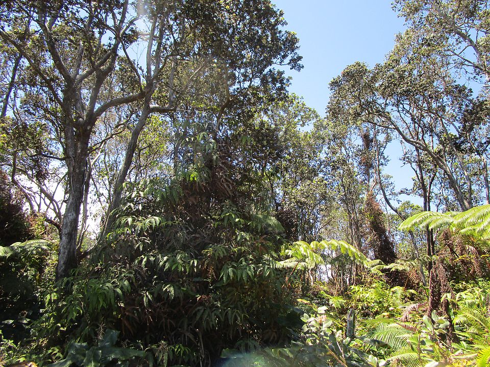 1st image of Nahelenani St Lot 53-B-388