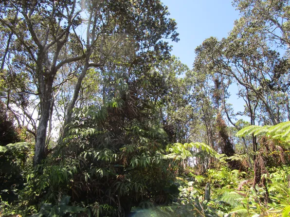 Nahelenani St Lot 53-B-388, Volcano, HI 96785