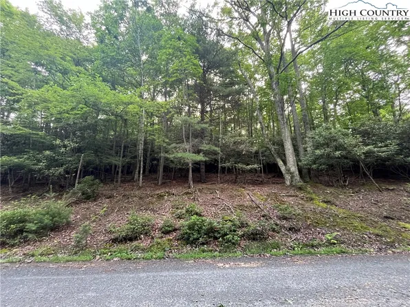 262 Poplar Rd and 106 Cedar Ln, Beech Mountain, NC 28604