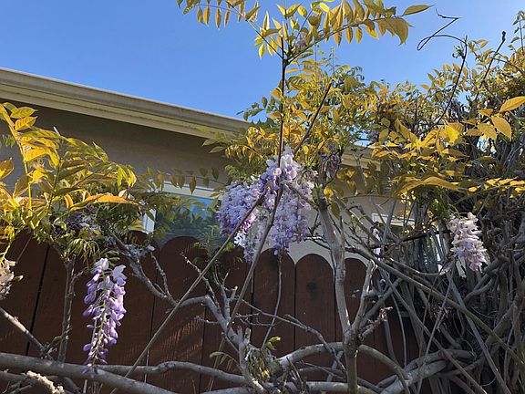 4th image of 5008 Fairbanks Way