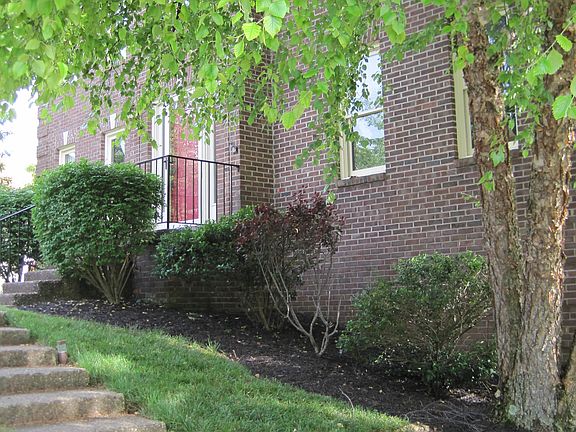 2nd image of 2204 Mangrove Dr