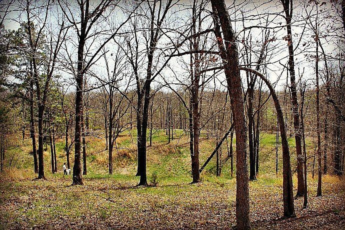 Facing east on the land