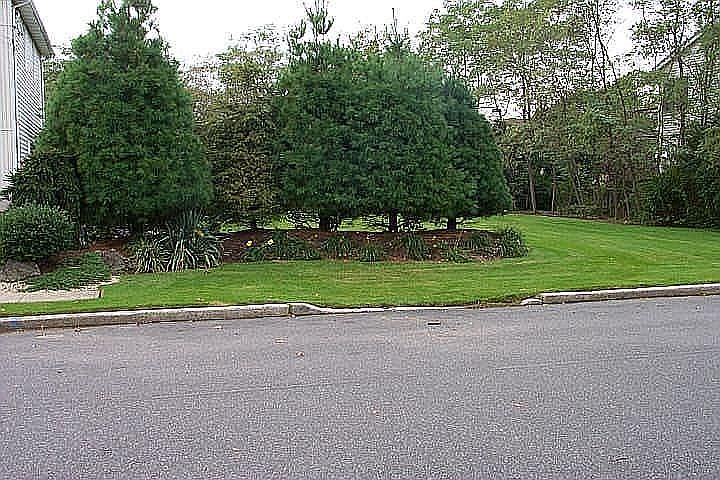 1st image of 3446 Colony Dr