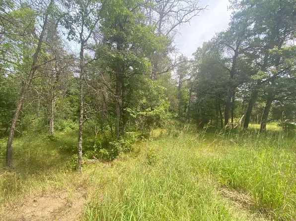 Stitt Ln, Mio, MI 48647