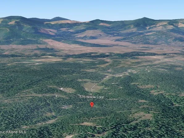 676 Willow Loop Rd, Fernwood, ID 83830
