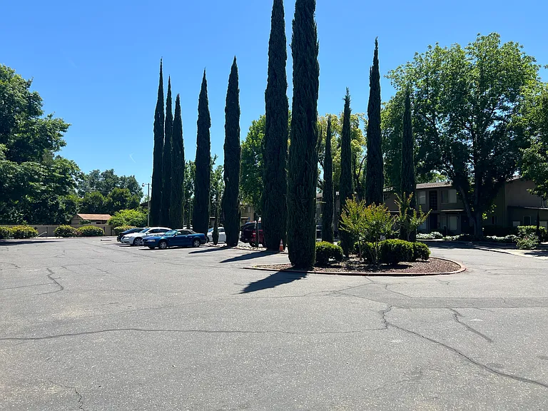 Coloma Garden — Photo 12