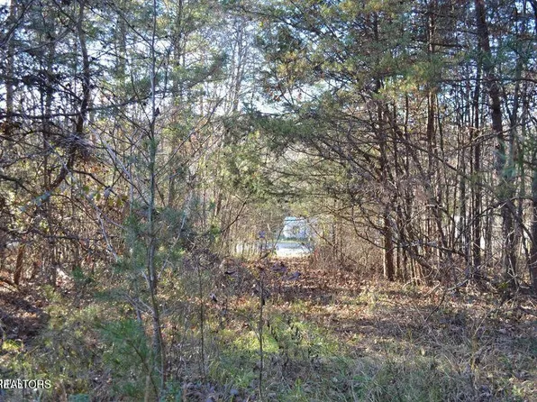 246 County Road 162, Niota, TN 37826