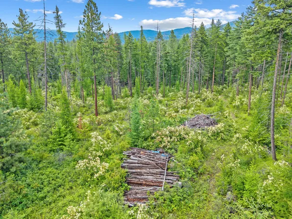 432X Bussard Lake Rd, Loon Lake, WA 99148
