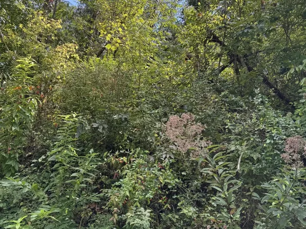0 Progress Hill Blvd Lot 37, Pigeon Forge, TN 37863