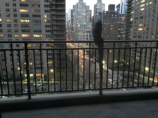 Sold by Kleier Residential | media 22