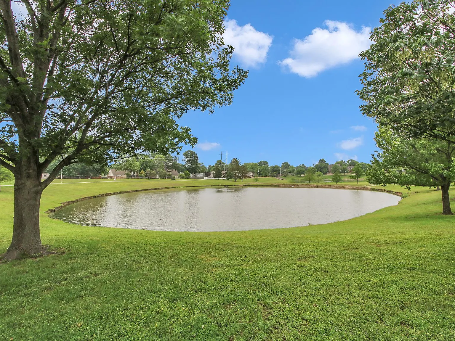 3 bed, 2.5 bath, 1950 sqft, $4,800 — Photo 4