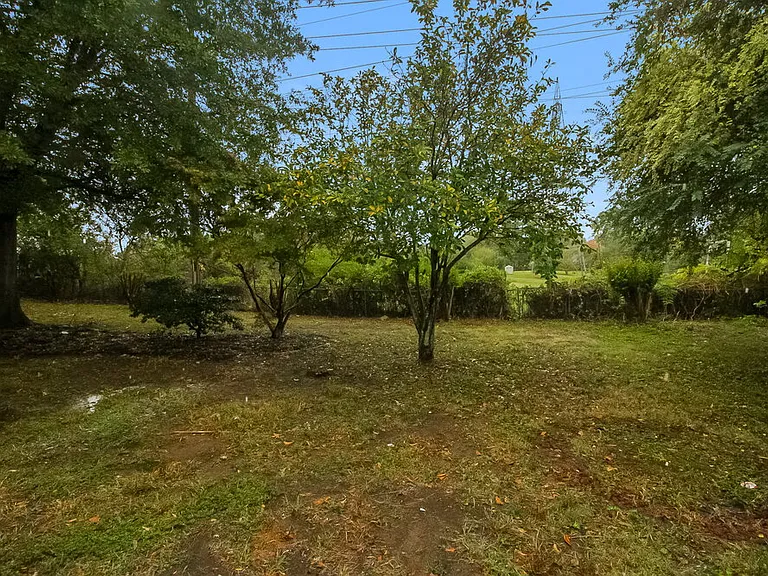 8367 Stavenger Cv — Photo 16