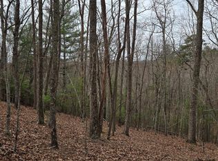 8.5 Blue Berry Rdg, Morganton, GA 30560