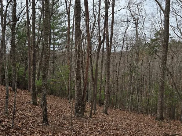 8.5 Blue Berry Rdg, Morganton, GA 30560