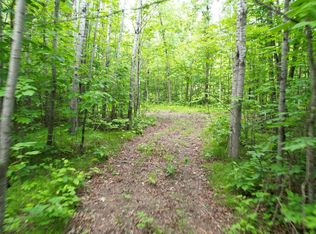 PARCEL Ticonderoga Trl #D, Hackensack, MN 56452