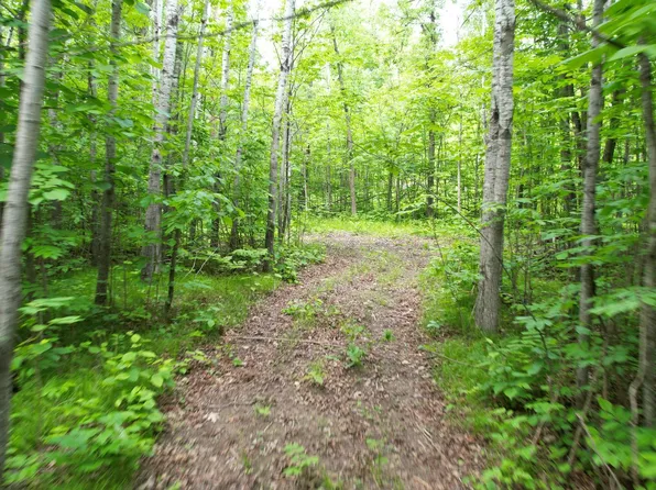 PARCEL Ticonderoga Trl #D, Hackensack, MN 56452