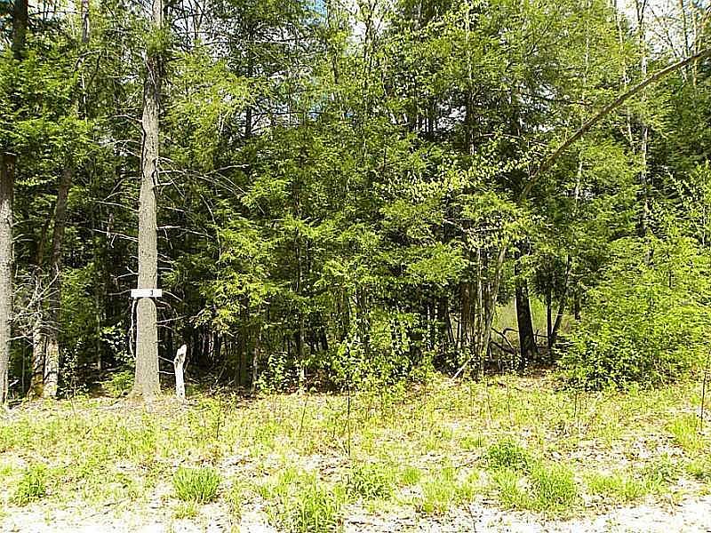 1st image of Lot 6 Wild Turkey Lane