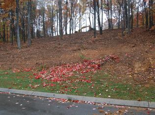 7389 Falcon Bluff Dr, Signal Mountain, TN 37377