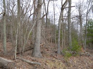 0 Little Mountain Rd #2, New Castle, VA 24127