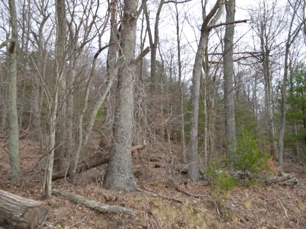 0 Little Mountain Rd #2, New Castle, VA 24127