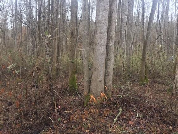 4th image of Henson Ln
