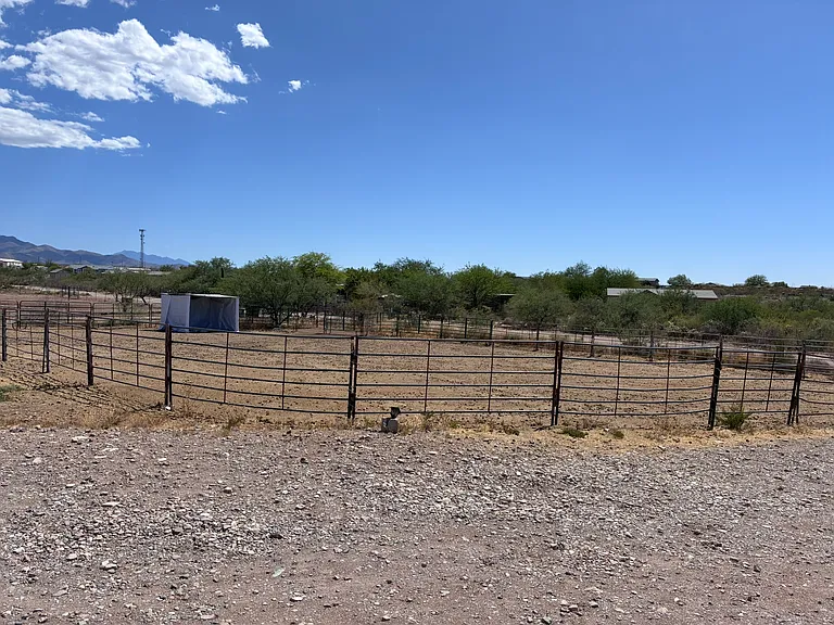 12725 S Red Horizon Trl — Photo 10