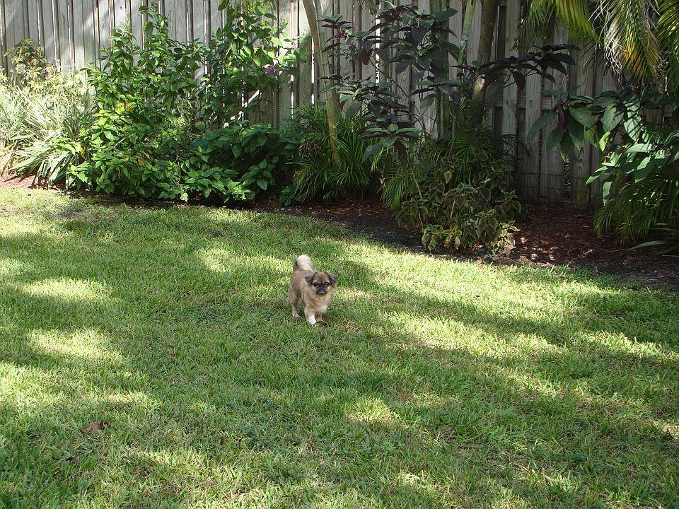 1st image of 10617 NW 54th St