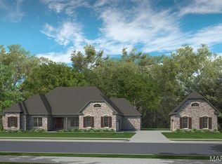 1 Nantucket Cedars Valley St, Saint Albans, MO 63073