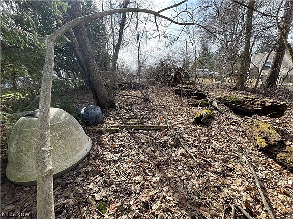 5th image of Rustic Rook Rd