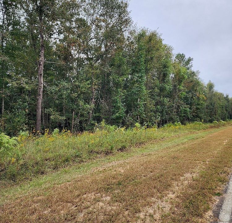2nd image of 0 Riverbend Rd