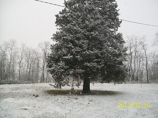 4th image of 40285 N Fox Dr