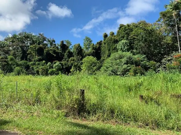 LOT 2 Lot 2, Pepeekeo, HI 96783