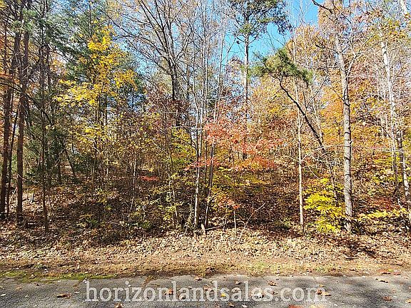 4th image of 0 Twin Lakes Dr