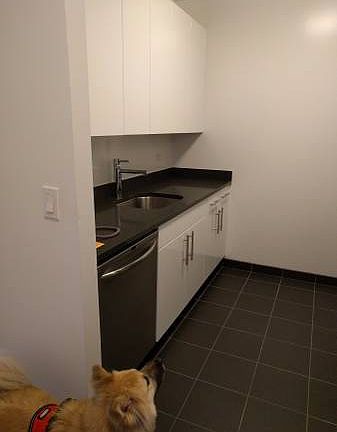 3rd image of 4545 Center Blvd APT 3511