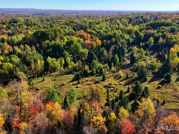 Tbd132 Sidnaw South Rd, Sidnaw, MI 49961