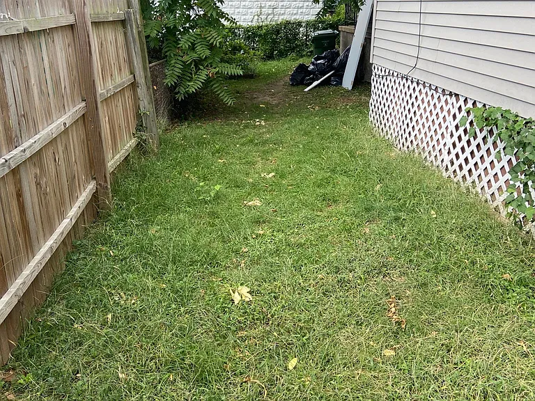 Yard on side of the property