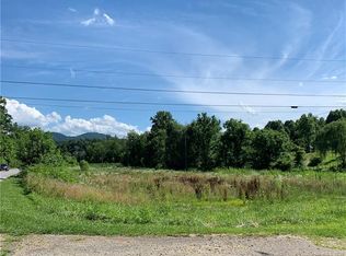 Bat Cave Rd, Old Fort, NC 28762