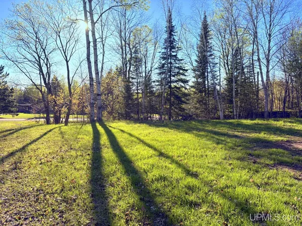 159 Kreiger Dr, Skandia, MI 49885