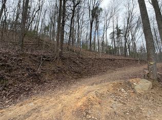 4.1 Reece Hollow Rd, Del Rio, TN 37727