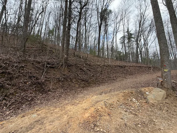 4.1 Reece Hollow Rd, Del Rio, TN 37727