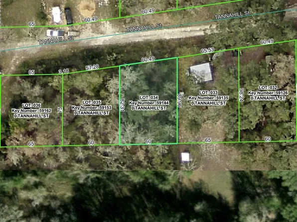 Tannahill St Lot 34, Dade City, FL 33523