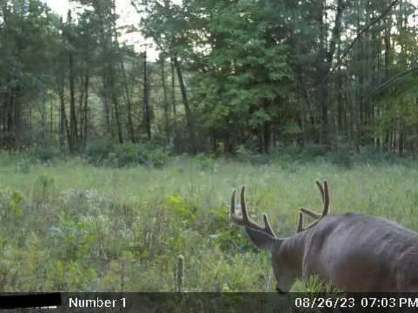 120.00AC Juneau Woods Road, Lyndon Station, WI 53944